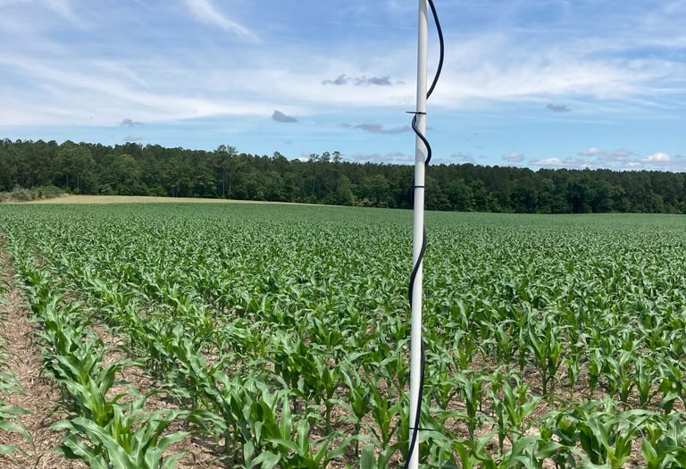 soil moisture sensor