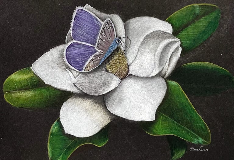 valkoinen kukka jonka päällä lila perhonen