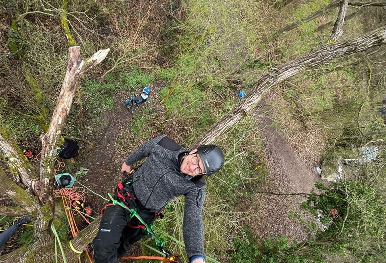 Baumpflege mit Seilklettertechnik