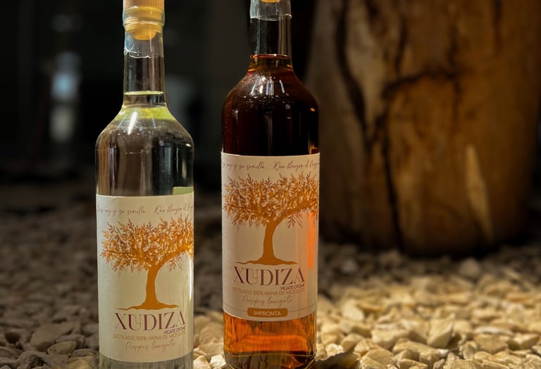Xudiza Vigate 