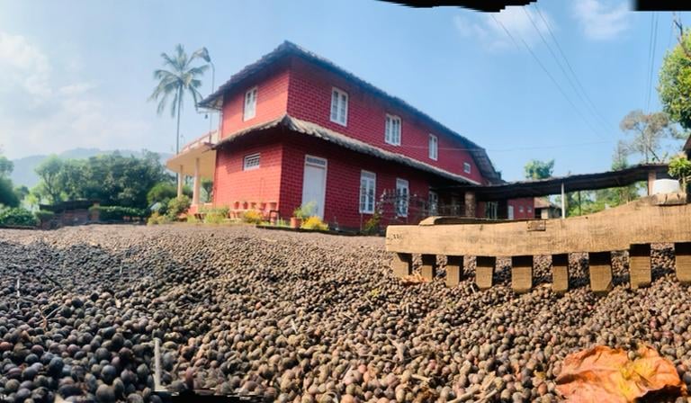 coffee and spice plantation tour