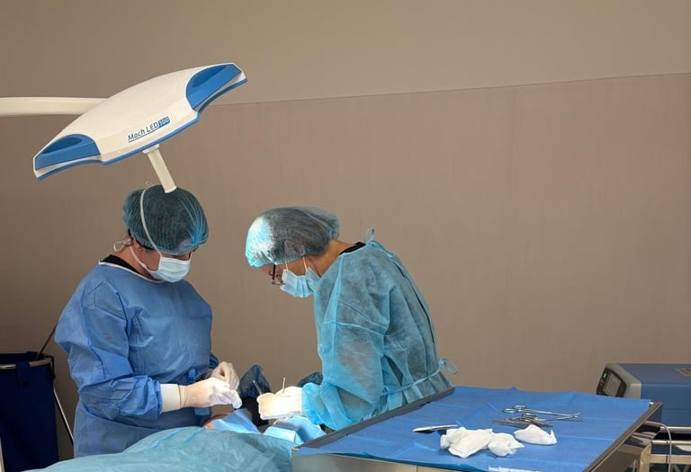 excizii chirurgicale tumori cutanate Timisoara