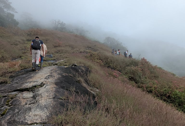Cerro Kennedy Trek with domek tours.
