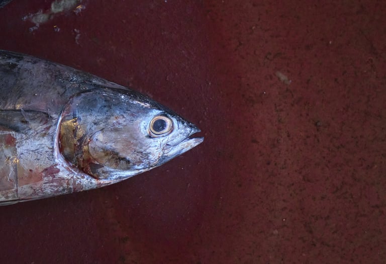 Close-up of a fresh whole tuna fish head on a dark red surface at a seafood market.