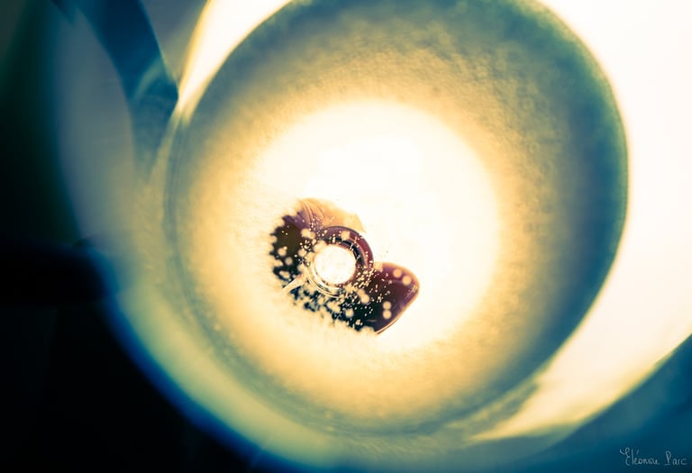 Abstraction Vinicole – Tourbillon de lumière au fond du verre, bulles en suspension