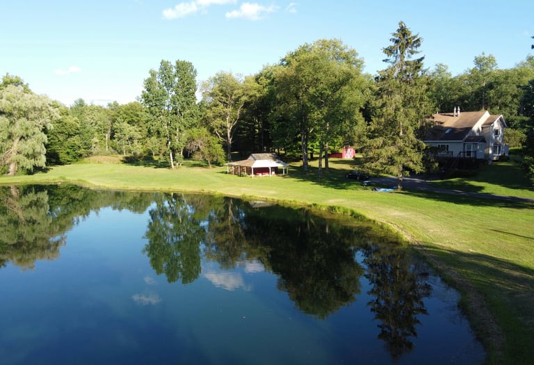 Sodyba iš paukščio skrydžio: tvenkinys ir jame atsispindintys žali medžiai.