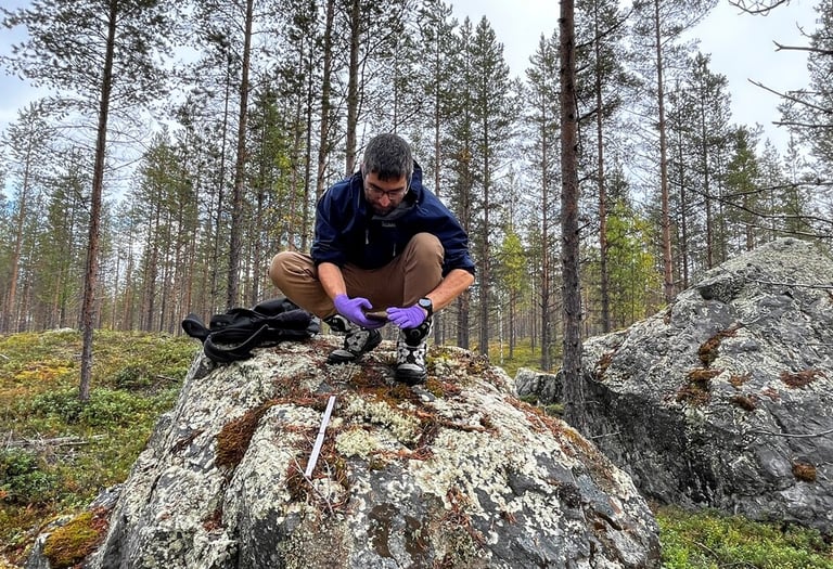 Dr. Hasan Tükenmez of Nordic BioConsult AB conducting fieldwork for lichen restoration.