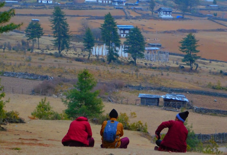Group Travel