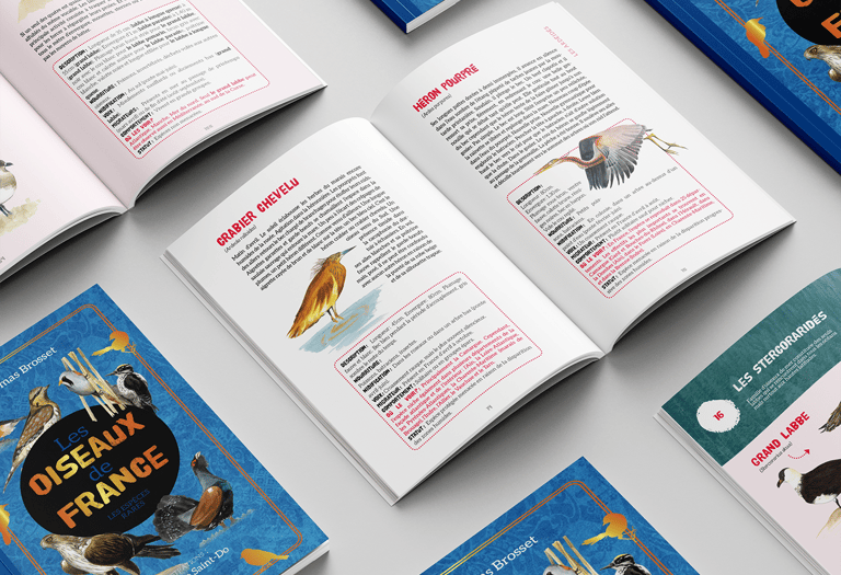 Mise en page du livre Les oiseaux de France - les espèces rares