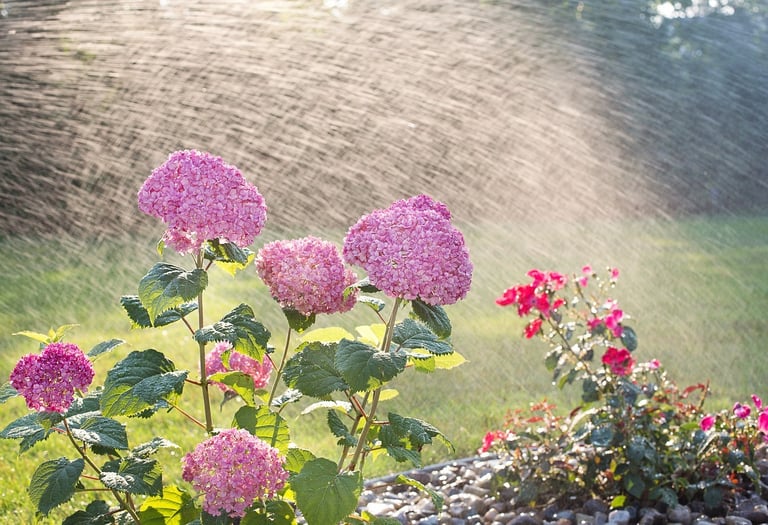 Irrigation repair company