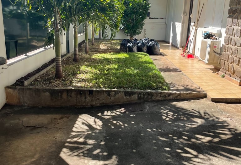 Entretiens des espaces verts