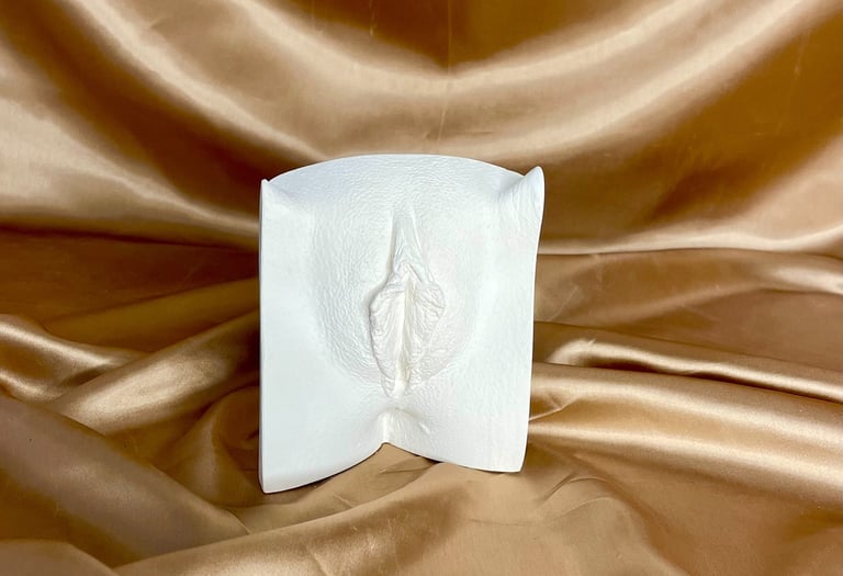 Vulve en plâtre sur fond doré - Moulage intime Bordeaux