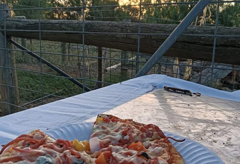 pizza on a plate at a party in country Victoria