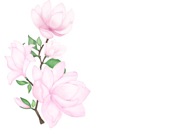 Pink Magnolia Flowers art for art posters, greeting cards and stationery