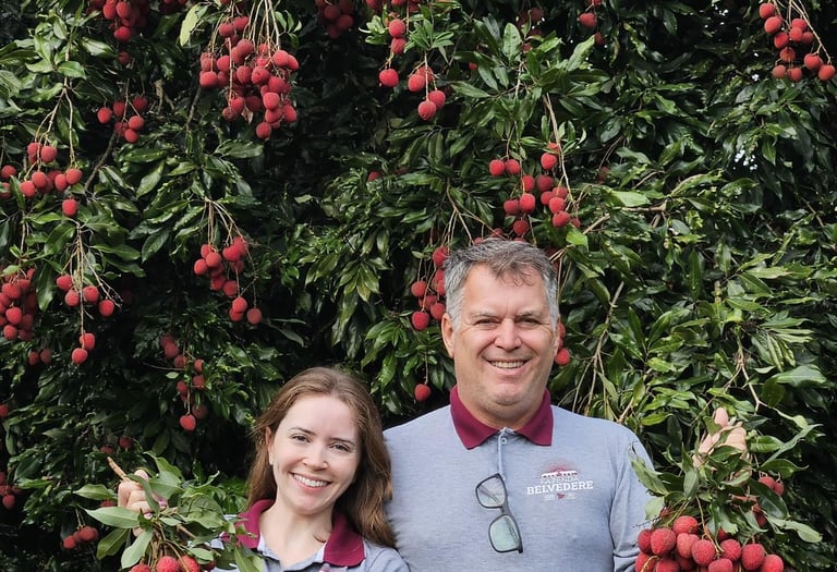 Fazenda de lichias no Brasil