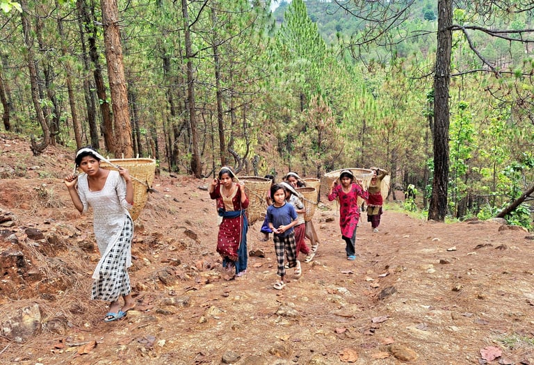 Young girls in the forest to pick fruits