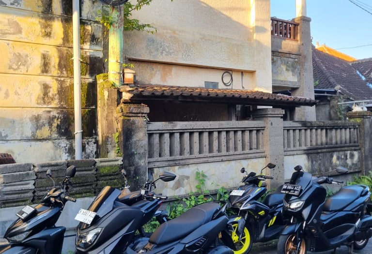 Bali bike collection for rent