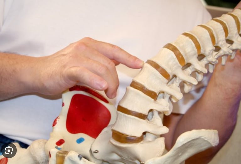 education on chiropractic work for the spine
