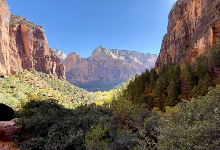 viBBes - high quality media appstore app