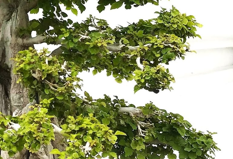 Découvrez des stratégies pour rendre les cours plus engageants, favoriser un apprentissage durable 