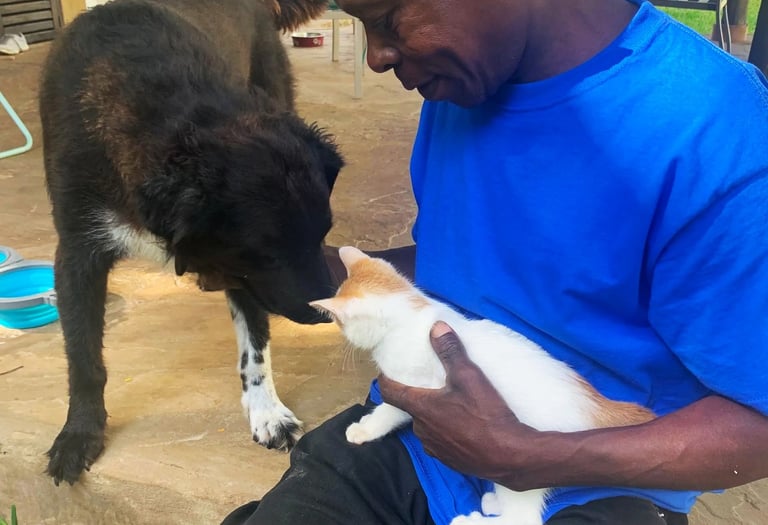 AAK farm manager is hanging out with animals