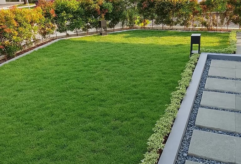 lawn grass suppliers Hyderabad 
