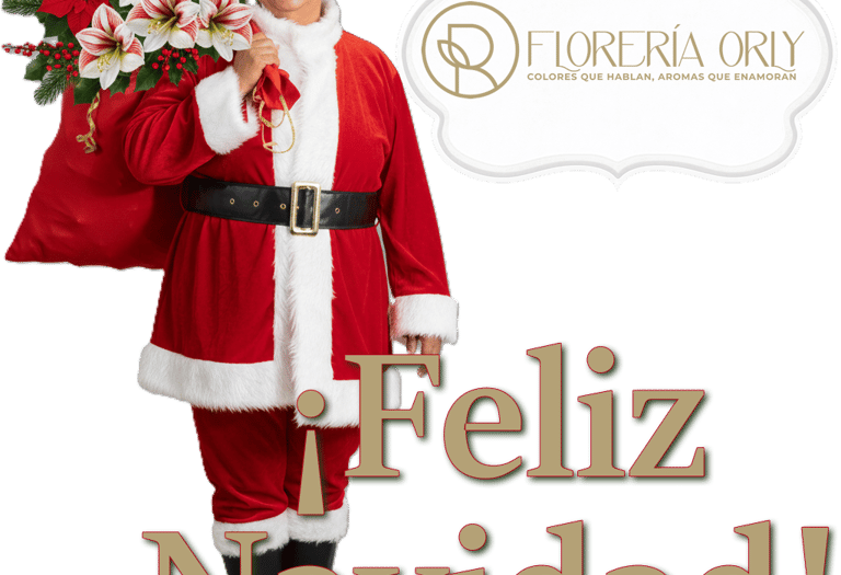 detalles navideños pereira