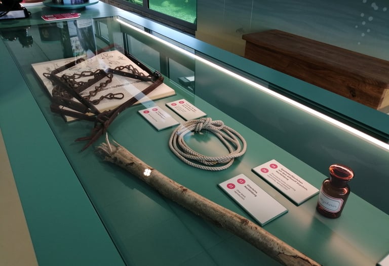 Vitrine mit historischen Objekten.