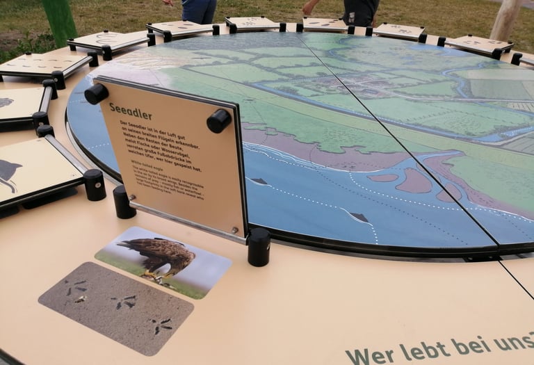 Exponat über die Tiere, die in der Region leben.