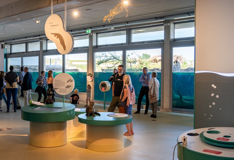 Wasserlinie des Aquariums - ein grundlegendes Element, das das gesamte Erlebnis vereint
