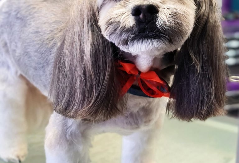 Nose to tail welfare with our add-on services