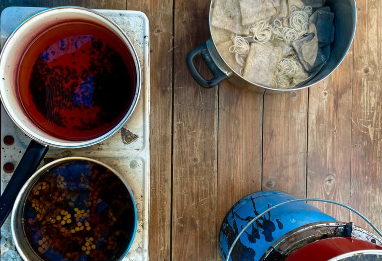 démonstration teinture végétale bain teinture