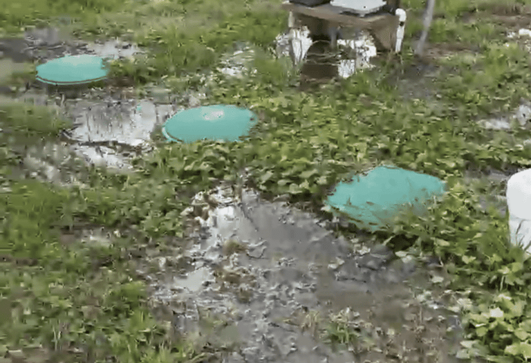 Flooded backyard septic system showing water pooling around green riser covers and pump control boxes.