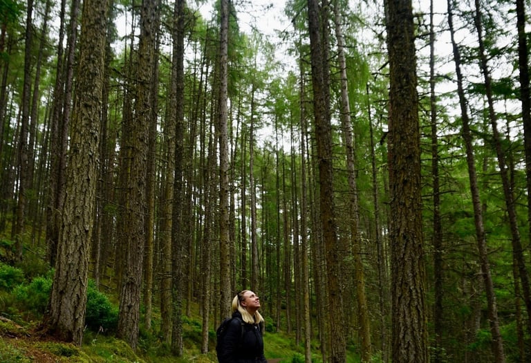 Coach Moll in a forest looking up at the trees
