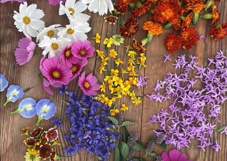 mix de fleurs comestibles