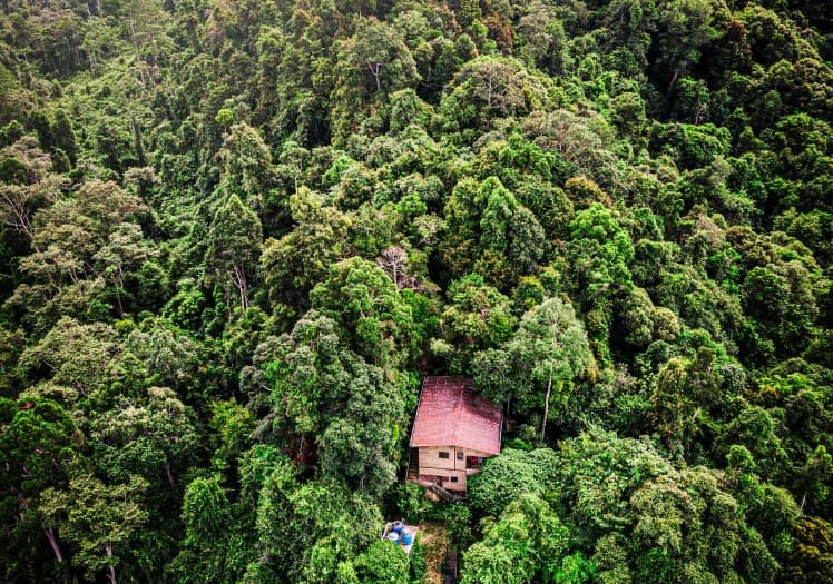 Aerial view of a secluded jungle lodge nestled within a dense tropical rainforest canopy.