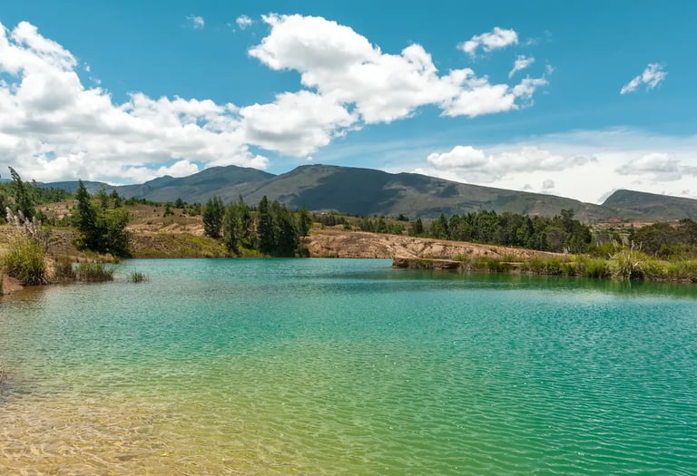 Scenic landscape of tall green trees and peaceful desert nature paths at Pozos Azules in Villa de Leyva