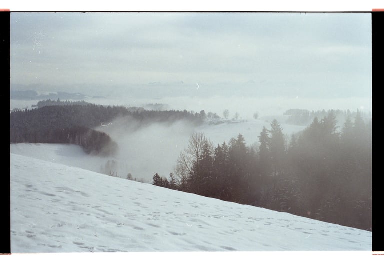 Eine neblige Winterlandschaft mit schneebedeckten Hügeln und Kiefernwäldern unter nebligem Himmel