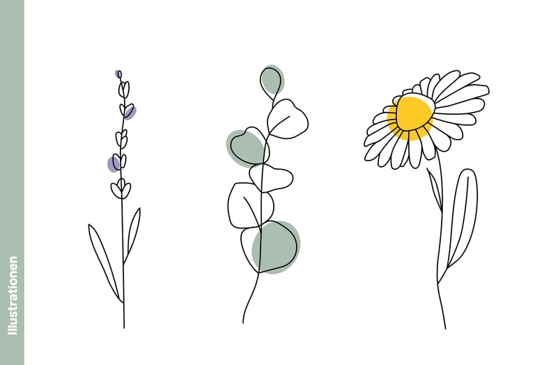 Minimalistische Strichzeichnung von Lavendel, Eukalyptus und Kamille mit sanften Pastellfarben.