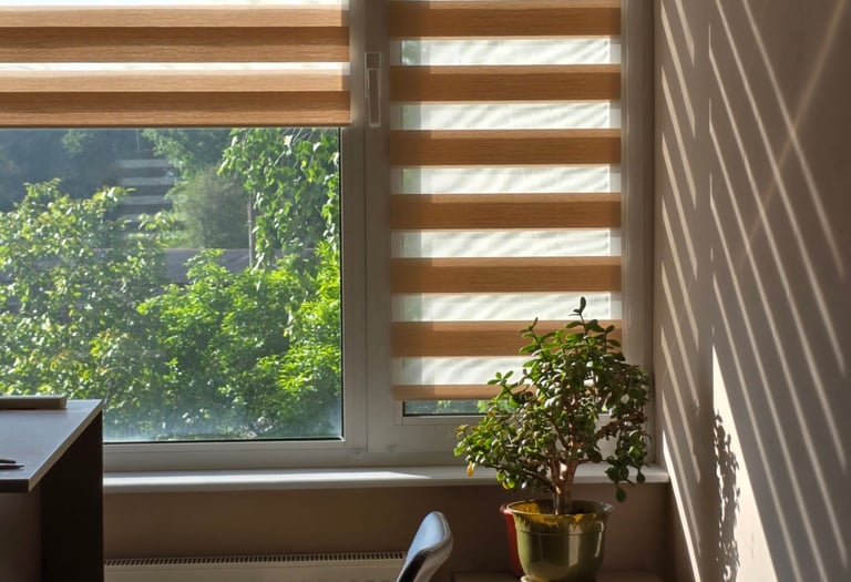 Modern home office with zebra blinds on a window, a small jade plant on a desk, and sunlight shadows on the wall.