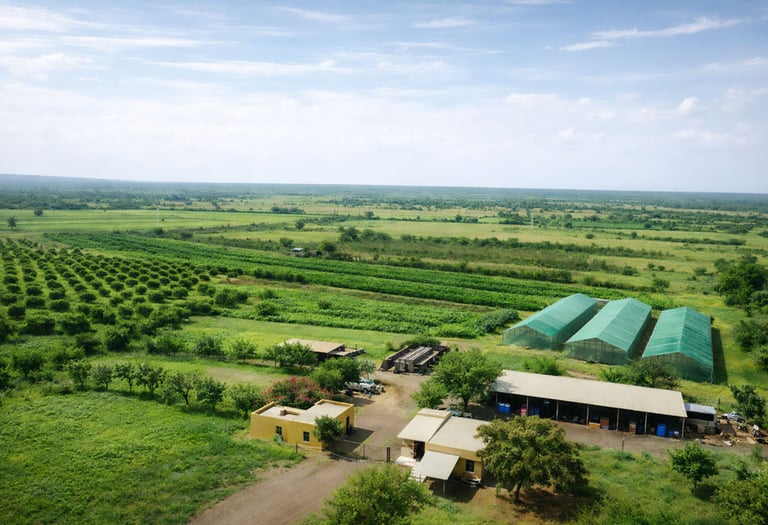 Aerial view of a sustainable organic farm with green greenhouses, fruit orchards, and farm buildings.