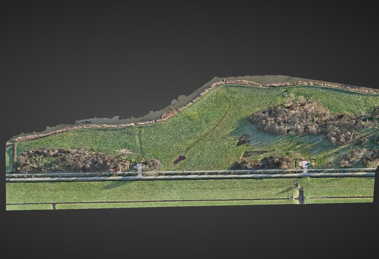 WebODM point cloud of a public space — drone mapping for drainage analysis and surface reporting, Ne