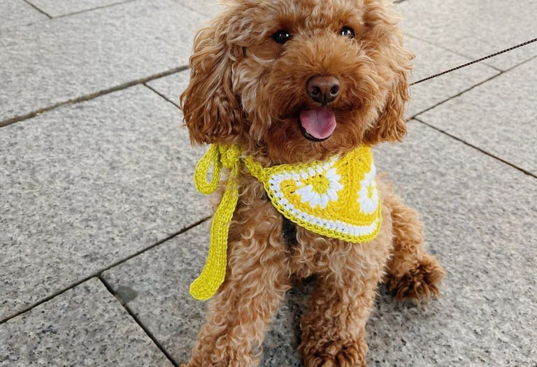 tutorial bandana de granny square de crochet