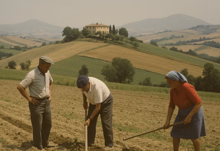persone che lavorano i campi marche