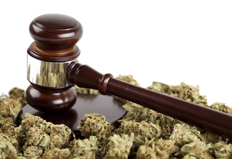Cannabis law in malta