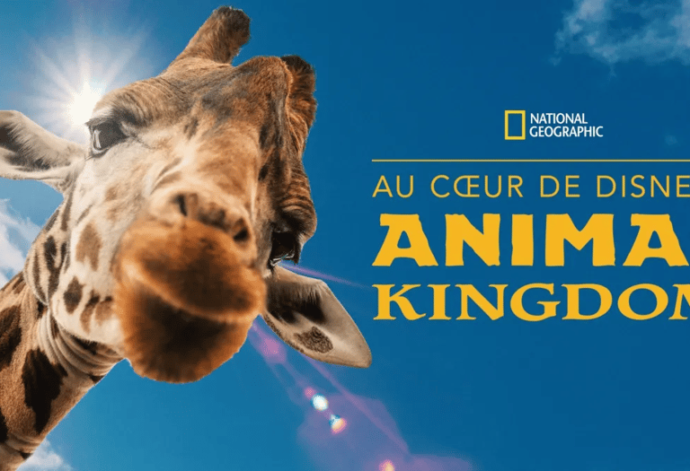 au coeur d'animal kingdom