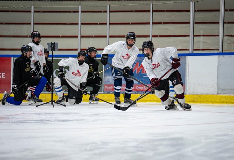 "Hockey video analysis"