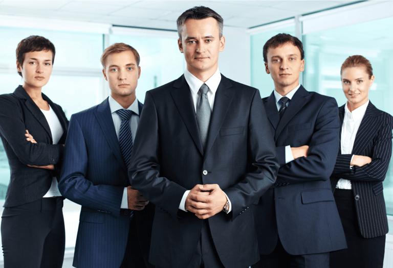 IT Professionals