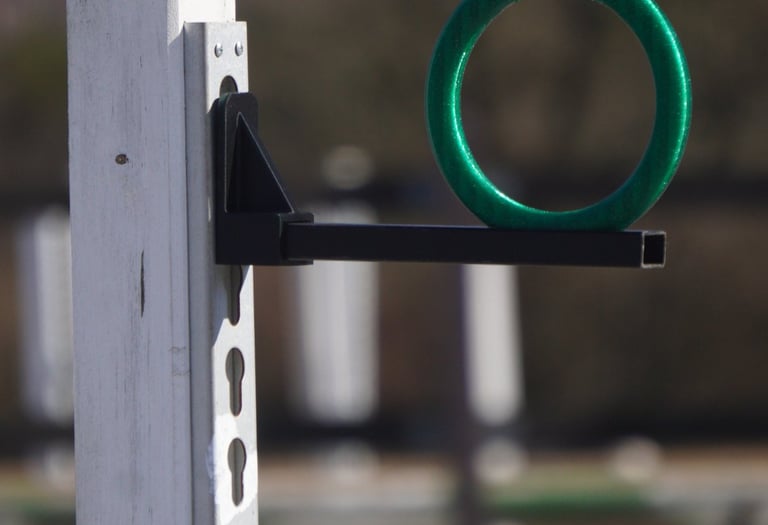 equimovex holder plus training rings