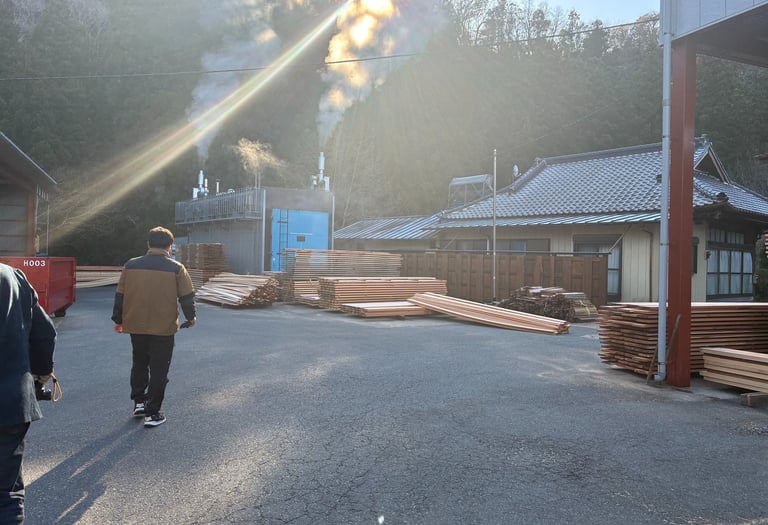 Stacks of cut timber drying at a Japanese sawmill facility with steam rising from processing equipment.